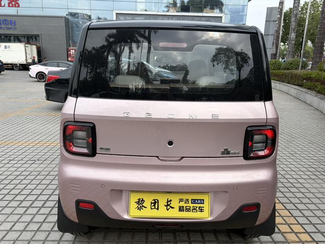 Certificated Pre-Owned Geely Panda 2024 200km Panda Mini Endurance Bear