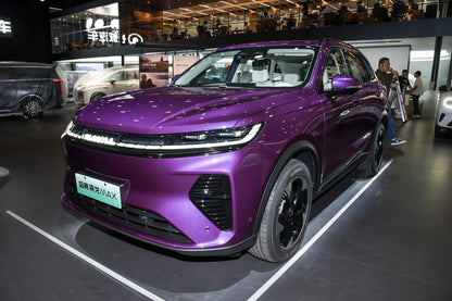 جي دبليو إم هافال شياو لونج ماكس - هجين PHEV