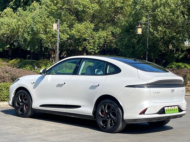 Pre-Owned IM LS6 2023 Model Max Long-Range Version