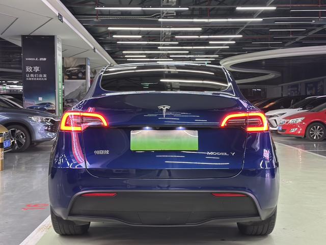 Pre-Owned Tesla Model Y 2021 Long Range All-Wheel Drive Version (3D3/3D7)