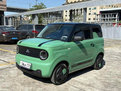 Pre-Owned Panda 2023 Model 200km Panda Mini Endurance Bear