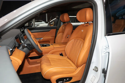 دونغفنغ eπ008-Hybrid REEV
