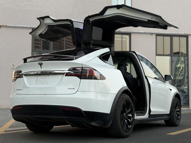 Pre-Owned Tesla Model X 2017 100D Long Range Edition