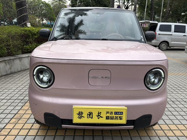 Certificated Pre-Owned Geely Panda 2024 200km Panda Mini Endurance Bear