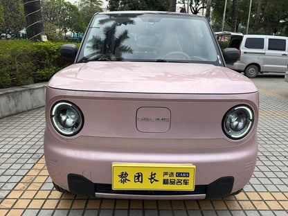 Certificated Pre-Owned Geely Panda 2024 200km Panda Mini Endurance Bear