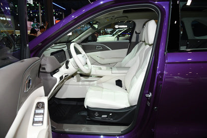 جي دبليو إم هافال شياو لونج ماكس - هجين PHEV